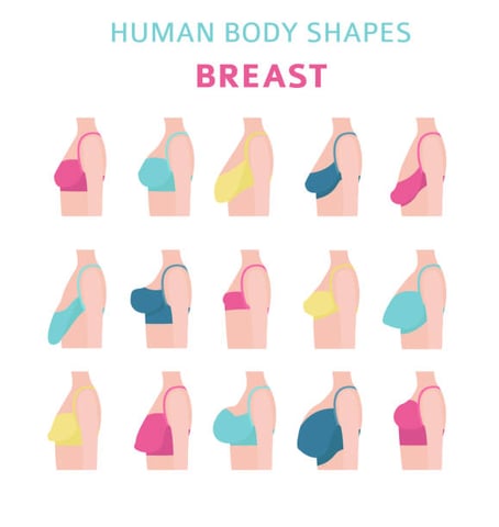 Love Our Bodies: Embrace Different Types of Breasts